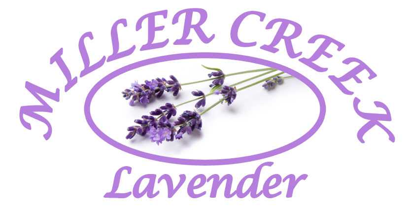 Miller Creek Lavender